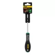 Stanley Fatmax torx csavarhúzó TT25x100mm