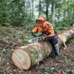STIHL sisak-készlet DYNAMIC Light