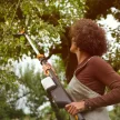 Fiskars Power Tools eLopper LP10 akkus ágvágó, mellévágó, akkumulátor nélkül