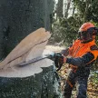 STIHL MS 661 C-M motorfűrész 5,4kW, 50cm 91,1cm3, 36RS