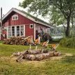 STIHL MS 212 C-BE benzinmotoros láncfűrész 38,6cm3, 2,4LE, 35cm