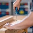 Bosch Professional csavarhúzó TX25 x 100 mm