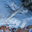 Bosch PRO SDS-Max 4C hegyesvéső, 280 mm, tégla, falazat, beton (Regisztrációval akár extra értékes ajándék is elérhető!)