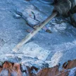 Bosch PRO SDS-Max 4C hegyesvéső, 400 mm, beton, tégla (Regisztrációval akár extra értékes ajándék is elérhető!)