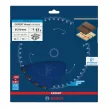 Bosch EXPERT Wood körfűrészlap akkus asztali körfűrészekhez 210x1,7/1,2 30 mm, T24 , fához