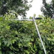 Einhell benzines multifunkciós gép GC-MM 52 I AS