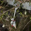 Milwaukee akkus magassági metszőolló M18 BLTS-0 18V alapgép