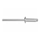 Extol Premium popszegecs készlet alu, 1000 db, méret: 4,0×12,7 mm