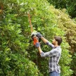 Black+Decker elektromos sövénynyíró BEHTS301-QS 500W, 50 cm