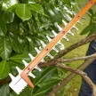 Black+Decker elektromos sövénynyíró BEHTS301-QS 500W, 50 cm