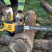 Dewalt DCMCS575N-XJ akkus láncfűrész 54 V alapgép