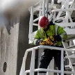 Dewalt akkus orrfűrész DCS367NT-XJ 18V XR alapgép
