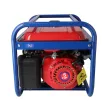 Dedra áramfejlesztő generátor 2,0kW, max.2,2kW, 2x220V, 1x12V, 8,3A,