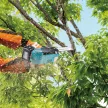 Makita akkus láncfűrész 250mm 18V DUC258Z alapgép