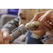 Dremel körömreszelő készlet kisállatoknak (7020-PGK)
