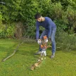 Black+Decker akkus aligátor ágazófűrész GKC1000LB-XJ 18V alapgép