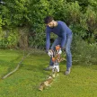 Black+Decker akkus aligátor ágazófűrész GKC1000LB-XJ 18V alapgép