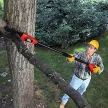 Black+Decker akkus magassági ágvágó GPC1820L20-QW 18V 2,0Ah
