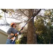 STIHL HTA 50 akkus magassági ágnyeső AK rendszer 36V alapgép, 25cm