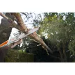 STIHL HTA 50 akkus magassági ágnyeső AK rendszer 36V alapgép, 25cm