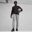 Puma teamGOAL kereknyakú pulóver Fekete 