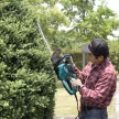 Makita sövénynyíró UH5580 670W